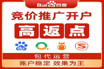 百度SEO推广公司案例精选：揭秘关键词优化策略